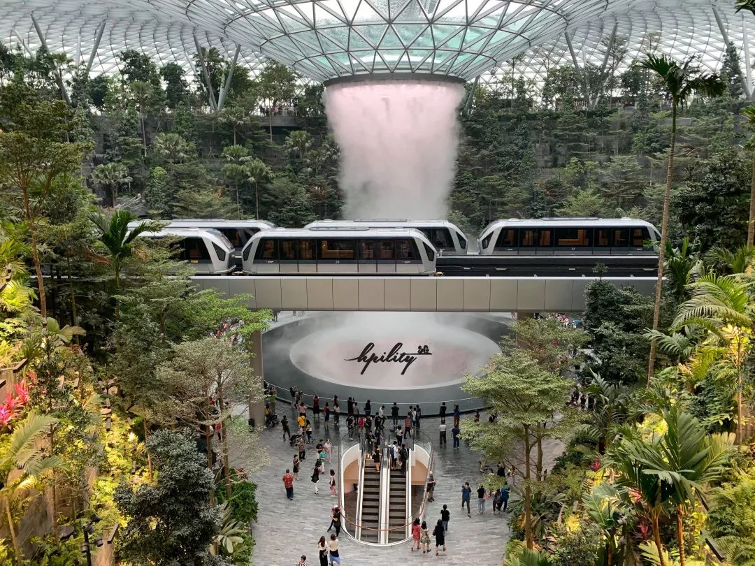 星耀樟宜|新加坡机场成为网红集中营